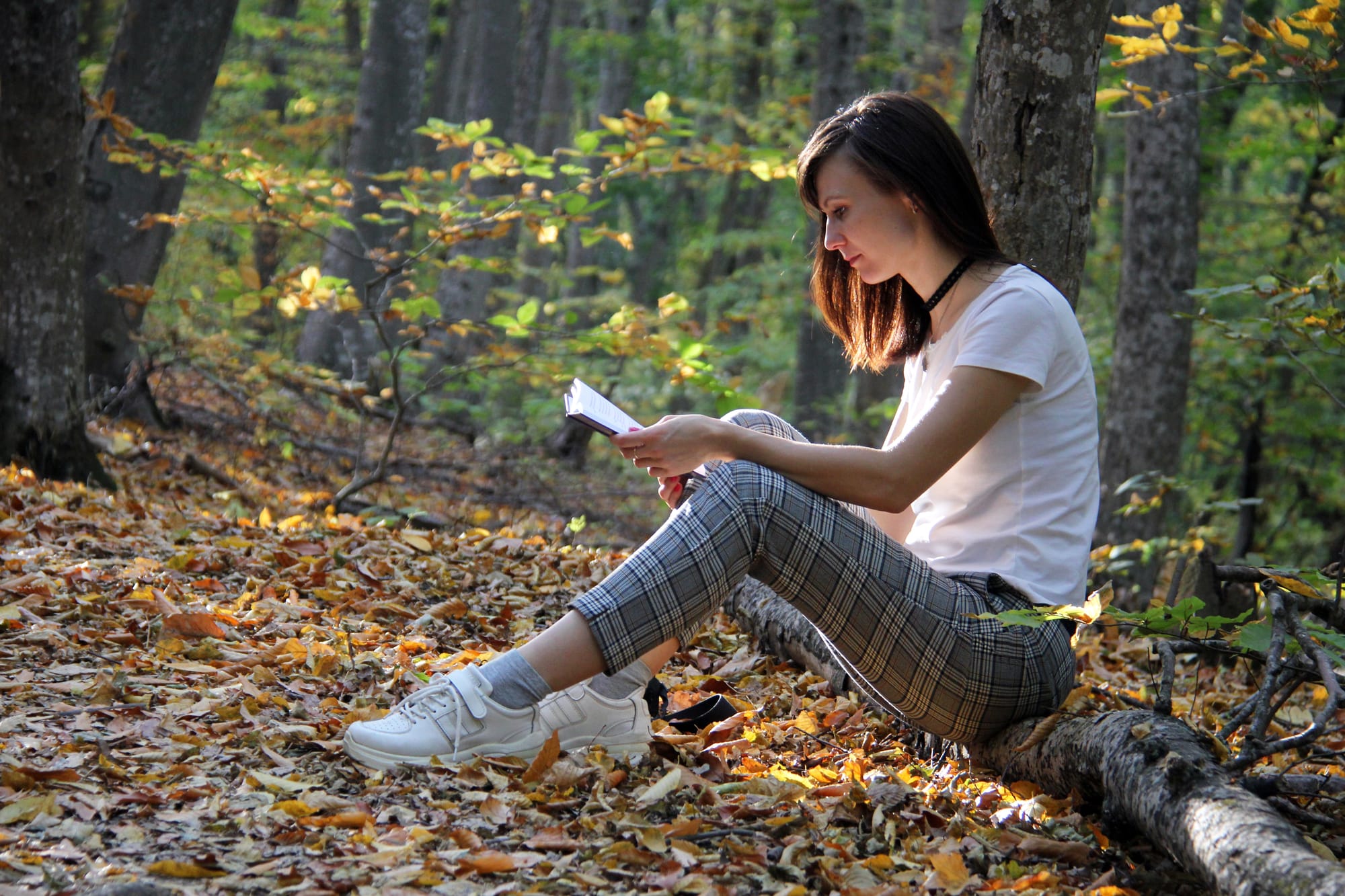 Eine junge Frau sitzt in einem Wald, vertieft in das Lesen eines Buches, umgeben von gefallenen Blättern.