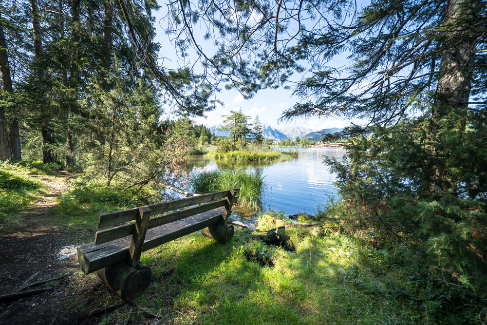 Eine idyllische Bank am Waldrand mit Blick auf einen ruhigen See, ideal für hochsensible Reisende, die Erholung suchen.