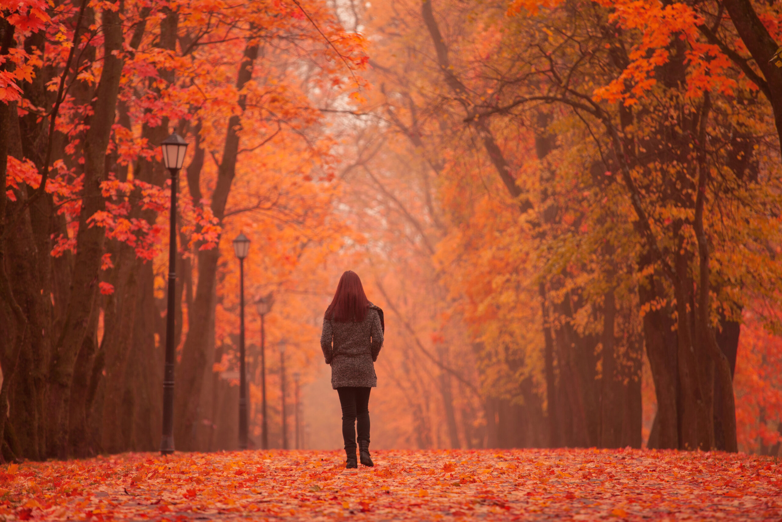 Frau spaziert allein durch herbstlichen Park mit leuchtend roten und orangen Blättern – Symbol für Rückzug und innere Ruhe.